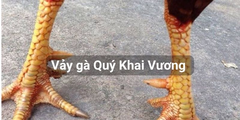 Vảy gà cổ xưa